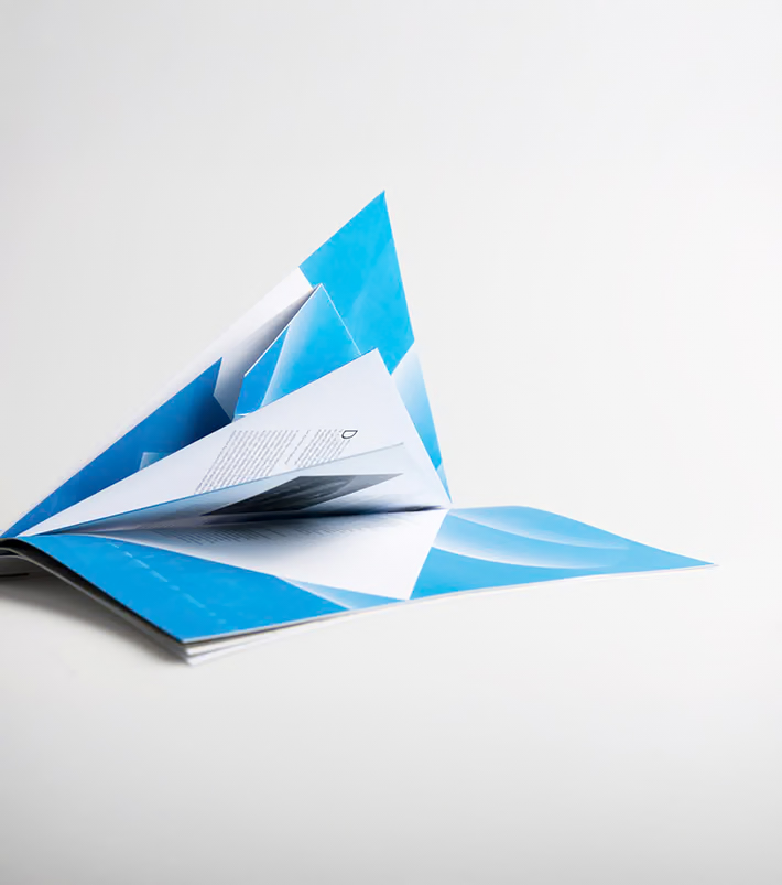 Portfolio Image